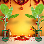 Natures Plus Banana Plant Holder 2 pcs