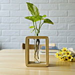 Garden Genie Pine Wood Test Tube Planter Stand 1 pc