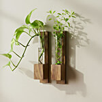 Garden Genie Sheesham Wood Test Tube Wall Hanging Planter With Sticking Tape 2 pcs
