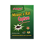 M R Gold Mouse & Rat Capture With Peanut Butter Scent 1 pc