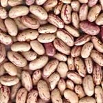 Bulk Bulk Rajma Chitra - Green 30 kg