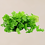 fresho! Corriander  - Organically Grown 1 kg