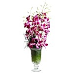 Ferns N Petals Pvt Ltd Flower Bouquet - Orchid Aura Standard 400 g