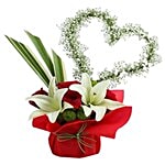 Ferns N Petals Pvt Ltd Flower Bouquet - Roses N Lilies Exotic Arrangement 400 g