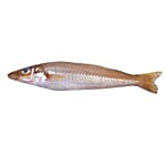 Antony Fish Shop. Fish - Kilangan / Lady Fish 500 g Fry cut