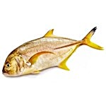 Antony Fish Shop. Fish - Thenga Paarai / Coconut Trevally 500 g Fry Cut