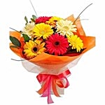 Blooms & Bouquets Flower Bouquet - 8 Delightful Mixed Gerberas 1 pc