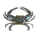 ME FRESH Crab - Blue 500 g