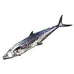 ME FRESH Fish - Seer Fish Medium 500 g
