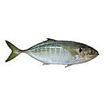 ME FRESH Fish - Malabar Trevally / Para 1 kg Fry cut