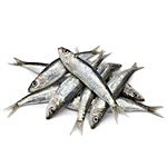 ME FRESH Fish - Sardine / Mathi 1 kg Fry cut