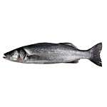 ME FRESH Fish - Sea Bass / Betki 1 kg Bengali Cut
