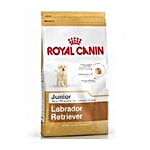 Royal Canin Pet Food - Labrador Junior 3 kg