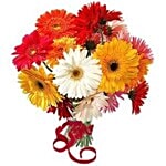 Blooms & Bouquet Flower Bouquet - 20 Charming Gerberas 1 pc