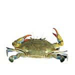 Sakana Crab - Blue / Nandu / Khekada / Edi 500 g Whole