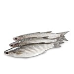 Sakana Fish - Mullet / Maduvai 1 kg Curry Cut