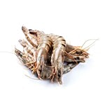 Sakana Prawns - Tiger Medium 1 kg Pealed