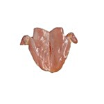 Batchabai Meat Store Chicken Breast - Boneless 500 g