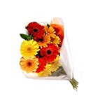 Blooms & Bouquets Flower Bouquet - Charming Mixed Gerberas 12 1 pc