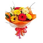 Blooms & Bouquets Flower Bouquet - Delightful Mixed Gerberas 12 1 pc