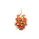 BLOOMS AND BOUQUETS Flower Bouquet - Zarabara Roses 1 pc
