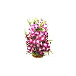 BLOOMS AND BOUQUETS Flower Bouquet - Orichids Basket 1 pc