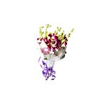 BLOOMS AND BOUQUETS Flower Bouquet - Orichids Hand Bunch 1 pc
