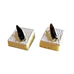 Coco Jaunt 1728 Pastry - Tresleche 2 pcs