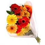 Blooms & Bouquets, BB Flower Bouquet - 8 Charming Mixed Gerberas 1 pc