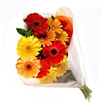 blooms & bouquets, Indiranagar Flower Bouquet - 8 Charming Mixed Gerbera 1 pc