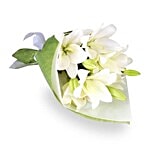 blooms & bouquets, Indiranagar Flower Bouquet - 6 Classic White Oriental Lily 1 pc