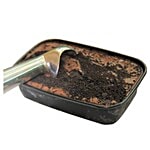 Nutty Squirrel Ice Cream Tub - Dark Chocolate Brownie 500 ml