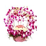 Fernsnpetals Indiranagar Flower Bouquet - Perfect N Elegance Orchid Bouquet 1 pc