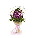 Fernsnpetals Indiranagar Flower Bouquet - Simply Sweet 1 pc