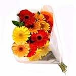 Blooms & Bouquets Flower Bouquet - 8 Charming Mixed Gerberas 1 pc