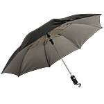 Citizen 2-Fold Umbrella - Auto Open, Green Outer & Silver Inner, Unisex Umbrella 1 pc