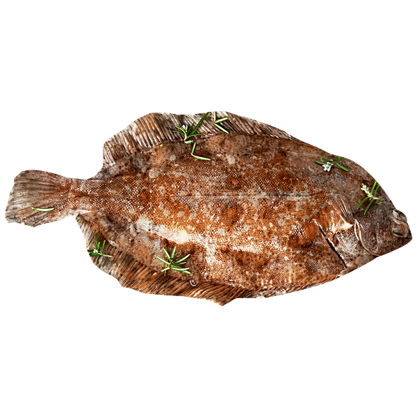 Buy Fresho Sole Fish Cleaned & Whole 500 gm Online at Best Price. of