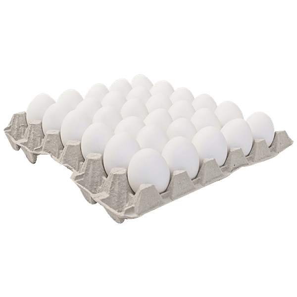 Buy Fresho Eggs Table Tray 30 Pcs Online At Best Price of Rs 265 bigbasket