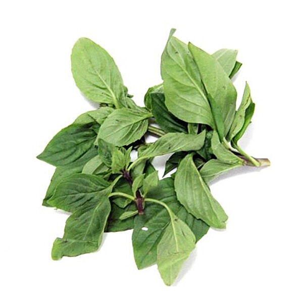 Buy fresho! Thai Sweet Basil Online at Best Price of Rs 400 bigbasket
