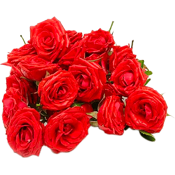 Fresho Rose - Red Flower, 1 kg
