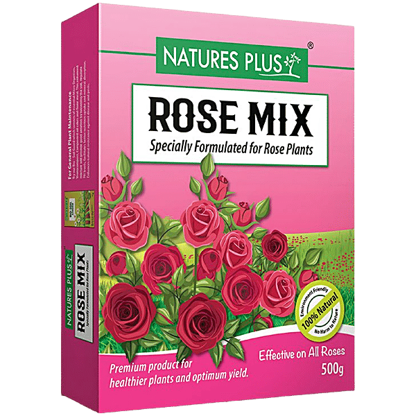 Buy Natures Plus Rose Mix 500 Gm Online At Best Price of Rs 65 bigbasket