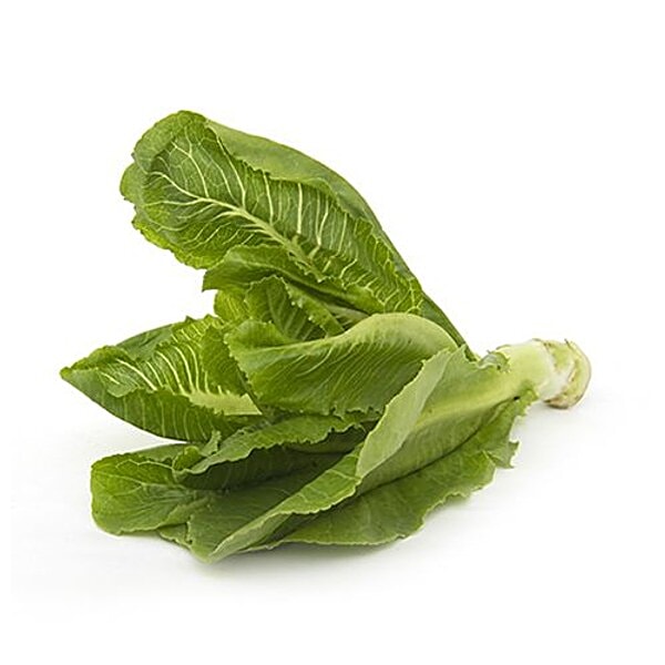 Buy Fresho Lettuce Romaine 500 Gm Online at the Best Price of Rs 65.21