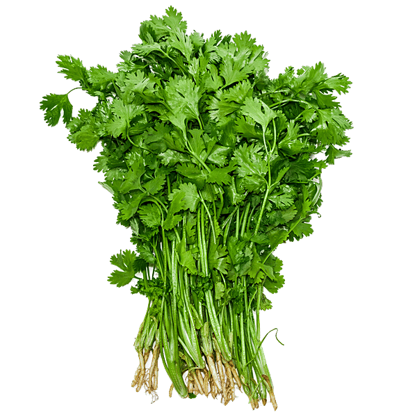 Buy fresho! Coriander Leaves bunch with roots Natti Online at Best