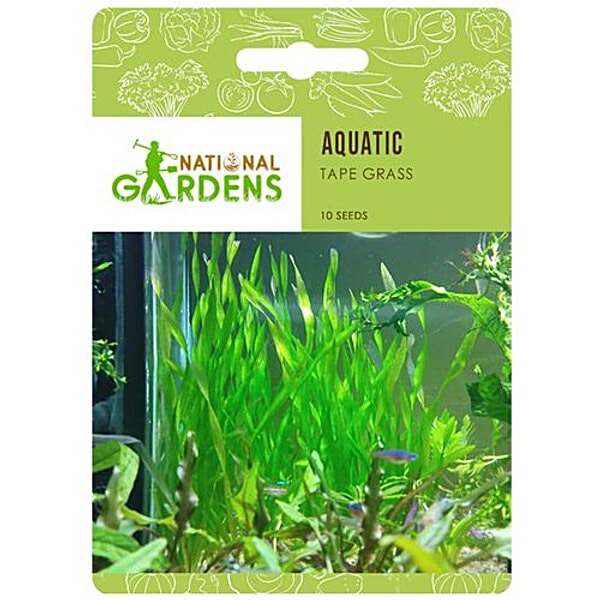 Buy National Gardens Tape Grass Aquatic Plant Seeds Online at Best