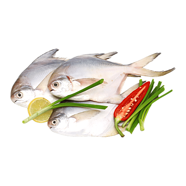 Buy fresho! White Pomfret Whole B Online at Best Price of Rs 650