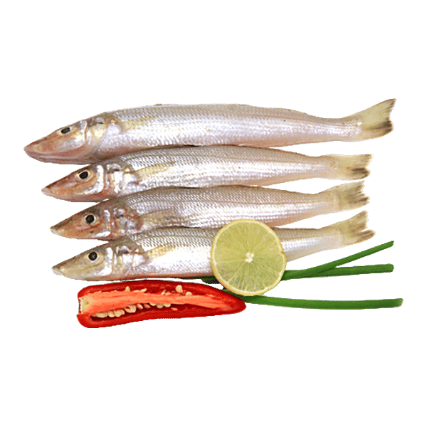 Buy Fresho Lady Fish Whole B Online at Best Price of Rs 350 bigbasket