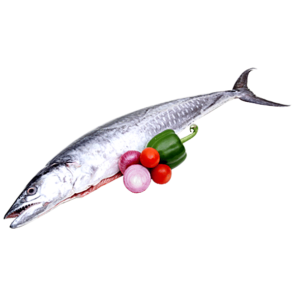 Buy Fresho Whole King Fish / CobiaBulk Online at Best Price of Rs 700