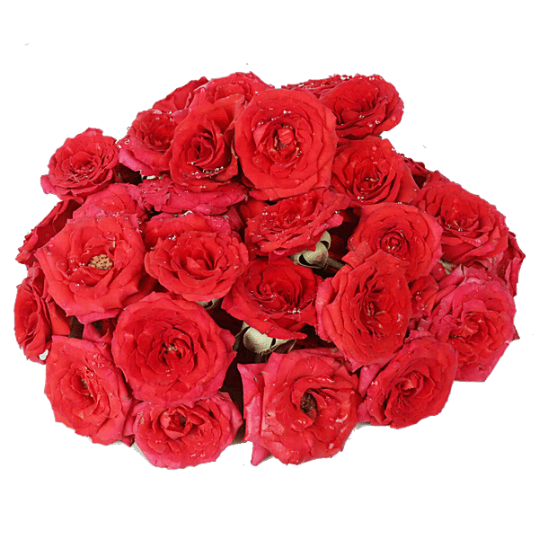 Buy Hoovu Fresh Assorted Roses Puja Flowers Online at Best Price of Rs