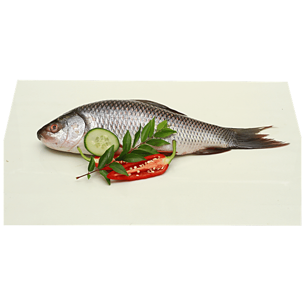 Buy fresho! Grass carp Fish WholeB Online at Best Price of Rs 400