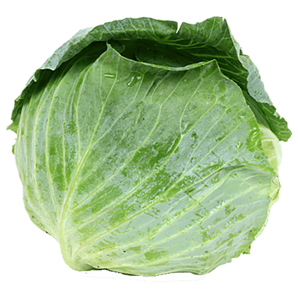 Buy fresho! Cabbage Small Online at Best Price of Rs 33 bigbasket